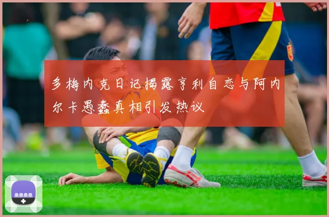 多梅内克日记揭露亨利自恋与阿内尔卡愚蠢真相引发热议