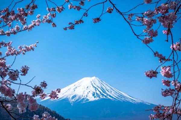 山岳ハイキング